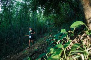 BIB: 
                            <button type="button" onclick="openModal(28123803)" class="btn btn-primary btn-sm float-right btn-popup" data-toggle="modal" data-target=".modal-high-quality">
                        <i class="fas fa-shopping-cart"></i> Add to Cart
                    </button>
                                            <button type="button" onclick="isThisMe(28123803, true)" class="btn btn-success btn-sm float-right btn-popup btn-isme hidden" data-toggle="tooltip" data-placement="bottom" title="นี่คือรูปของคุณใช่ไหม คลิกที่นี่เพื่อเอาเข้าอัลบั้ม">
                        <i class="fas fa-plus"></i> Add to album
                    </button>
                    <button type="button" onclick="isThisMe(28123803, false)" class="btn btn-warning btn-sm float-right btn-popup btn-isnotme hidden">
                        <i class="fas fa-ban"></i> Remove from album
                    </button>